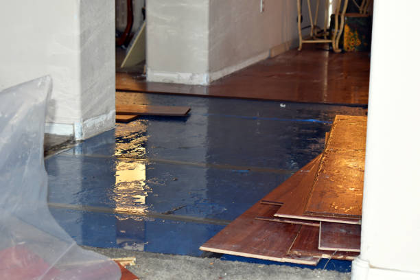 Professional Water Damage Restoration technician working in Waldron, MI